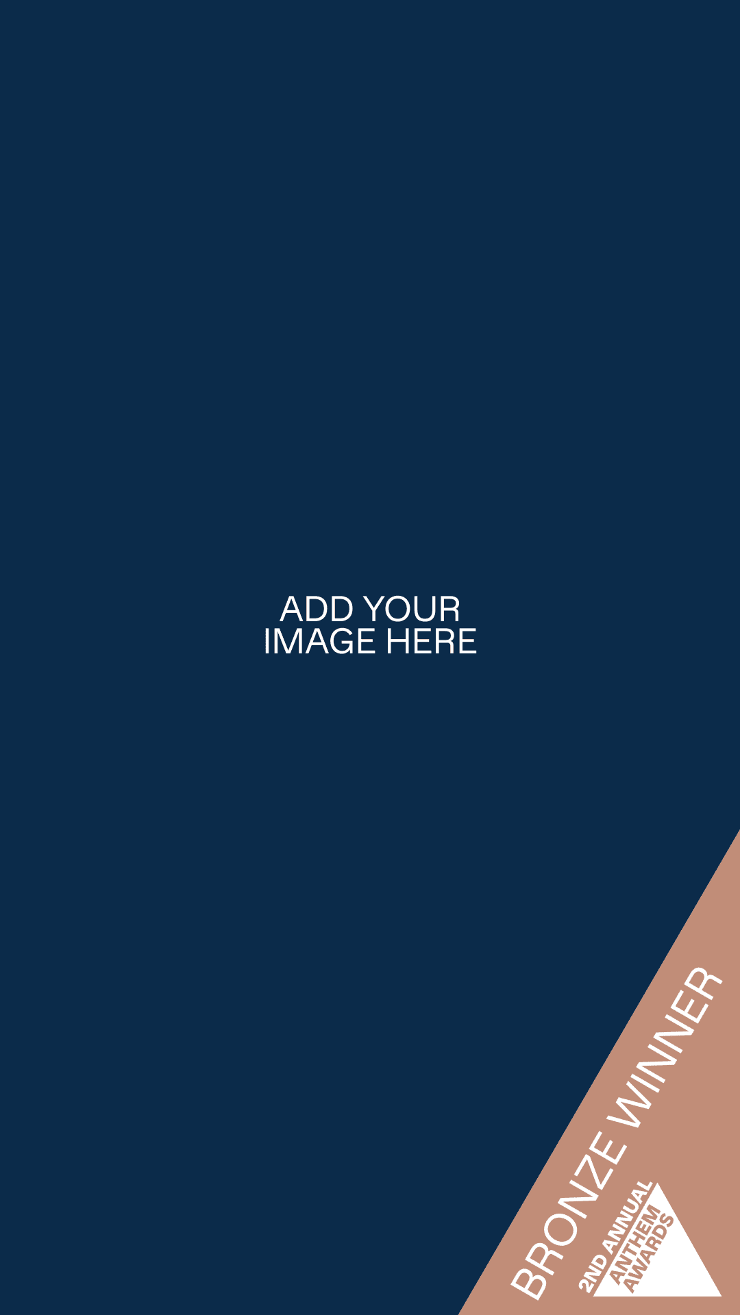 2023 Bronze Winner Large Frame